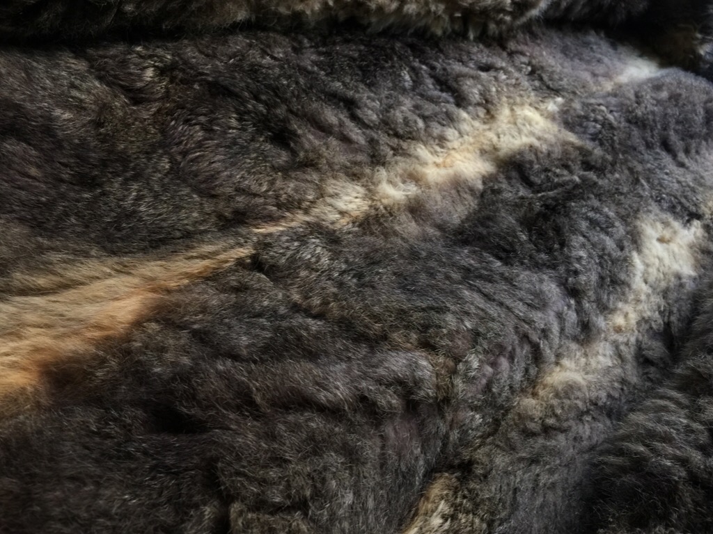 c0078587_0452313.jpg