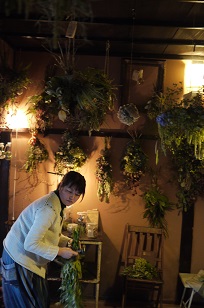 本日スタート「フボーと植物展 白4」_f0226293_7543723.jpg