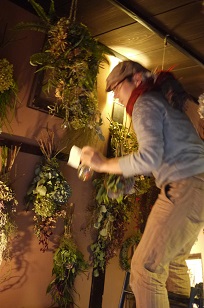 本日スタート「フボーと植物展 白4」_f0226293_7552964.jpg