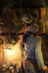 本日スタート「フボーと植物展 白4」_f0226293_7554190.jpg