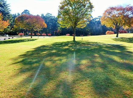 e0077899_2085655.jpg