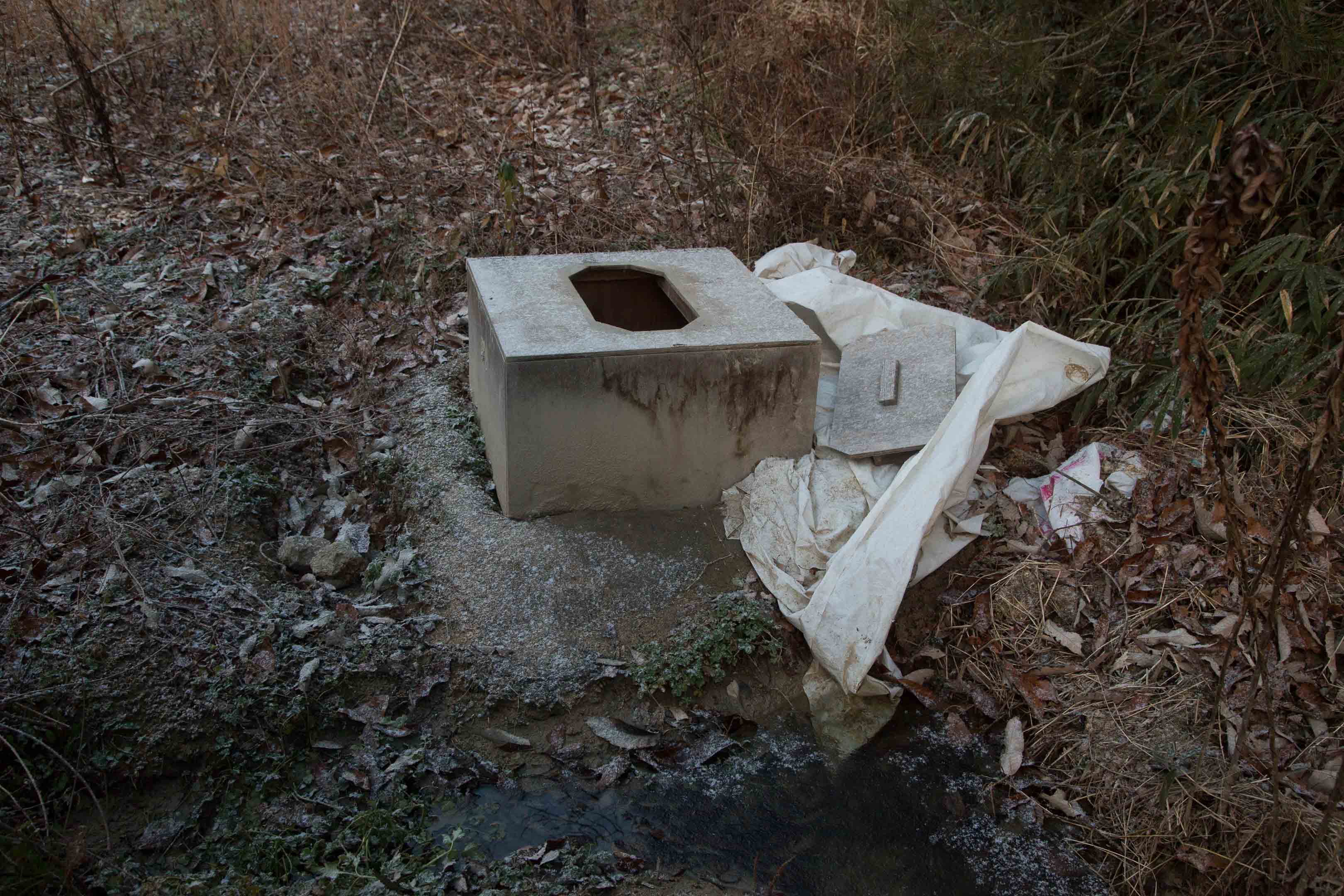 c0248100_1935267.jpg