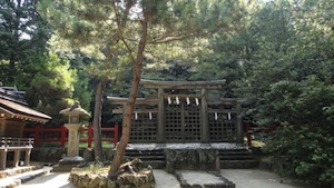 e0115301_229083.jpg