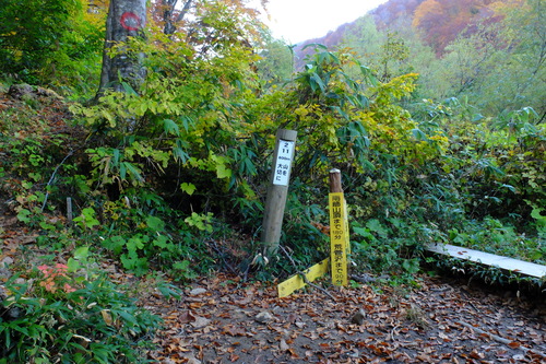 e0304001_1647187.jpg