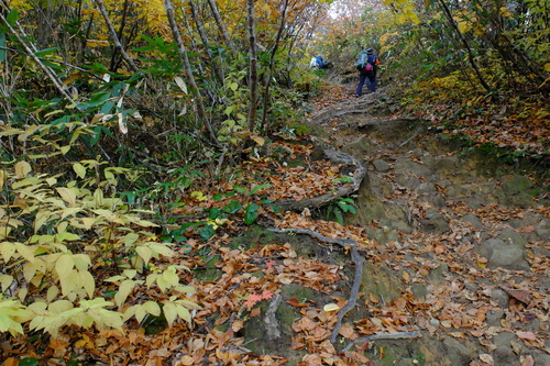 e0304001_1650773.jpg