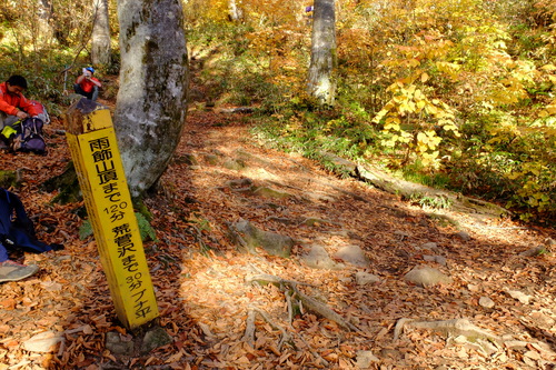 e0304001_170306.jpg