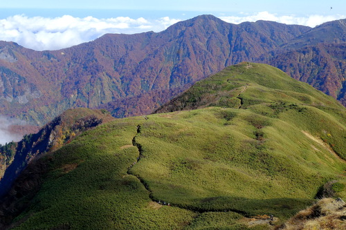 e0304001_17233136.jpg