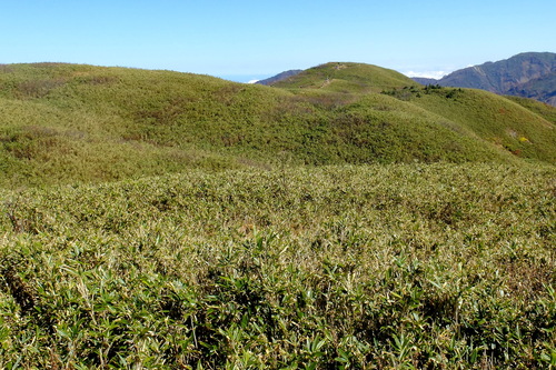 e0304001_1727087.jpg