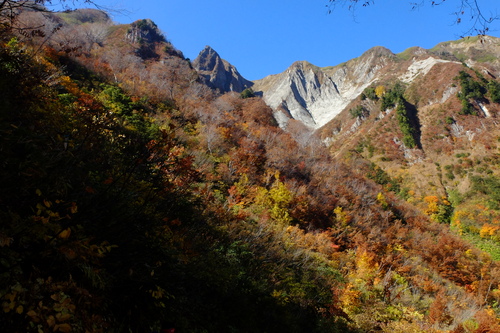 e0304001_17305812.jpg