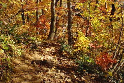 e0304001_17354716.jpg