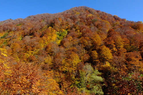 e0304001_1736873.jpg