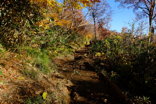 e0304001_1783211.jpg