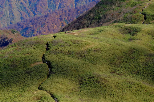 e0304001_18563027.jpg