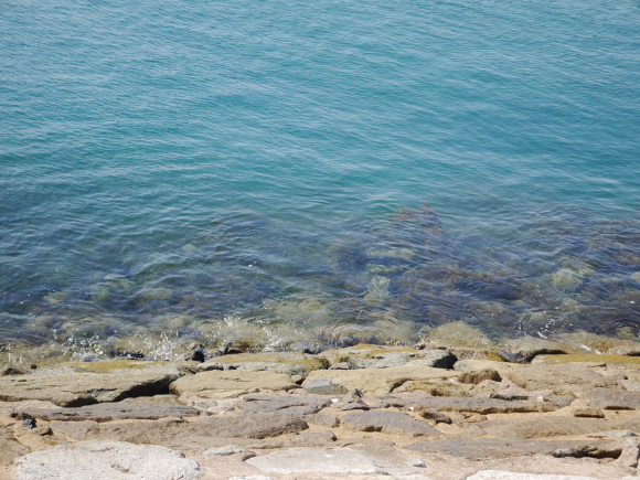 セントジョンズ島＆クス島巡りの旅に出てみた。～Lazarus Island 編～_f0343001_14472681.jpg