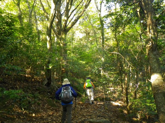 15-11：多良山系紅葉（五家原岳）_f0187402_20142459.jpg