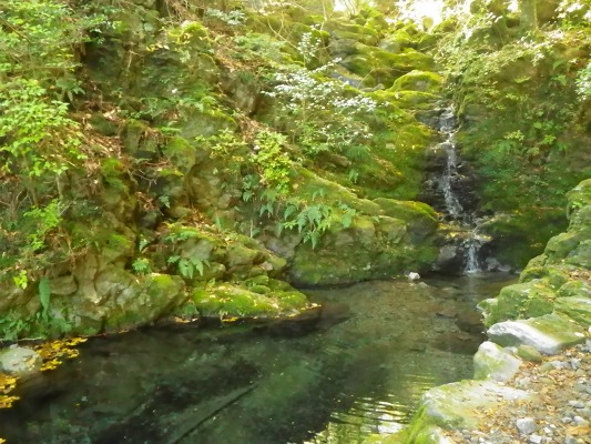 f0187402_20154110.jpg