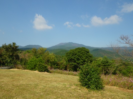 f0187402_2016223.jpg