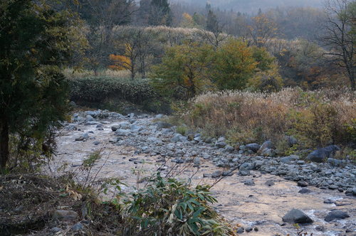 e0294803_20235280.jpg
