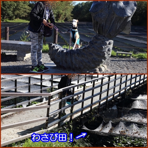 e0100007_8304626.jpg