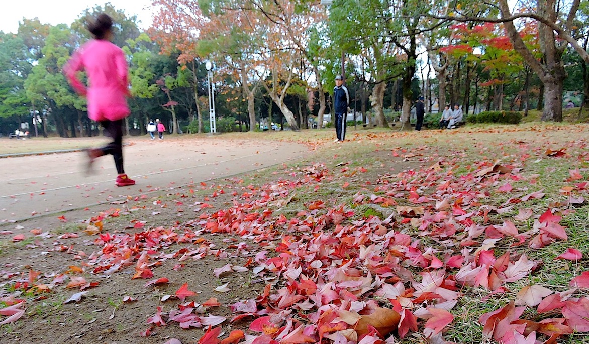 幾久公園2015【203】11月7日（土）_c0078410_94077.jpg