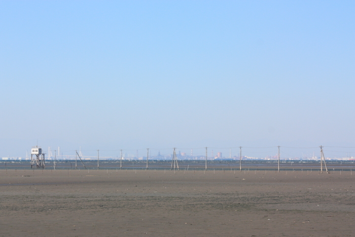 d0077811_20024041.jpg