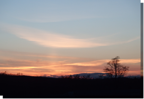a0114514_2032312.png