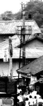 e0125014_10375533.jpg
