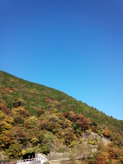 a0070715_17262090.png