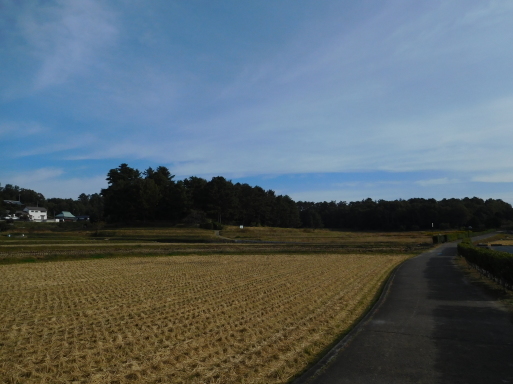 岡山旅行 その 2 吉備路 (備中国分寺、宝福寺等)、倉敷 (安養寺、大原美術館等)、岡山 (後楽園、岡山城)_e0345320_00132688.jpg