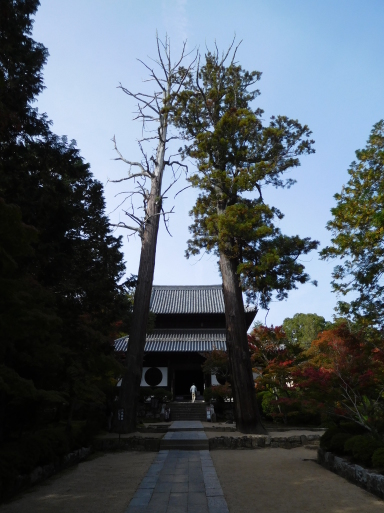 岡山旅行 その 2 吉備路 (備中国分寺、宝福寺等)、倉敷 (安養寺、大原美術館等)、岡山 (後楽園、岡山城)_e0345320_00514848.jpg