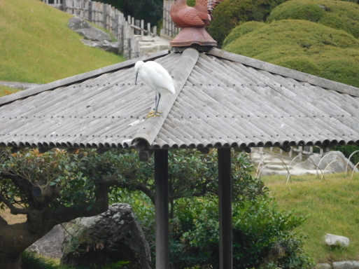 岡山旅行 その 2 吉備路 (備中国分寺、宝福寺等)、倉敷 (安養寺、大原美術館等)、岡山 (後楽園、岡山城)_e0345320_17365668.jpg