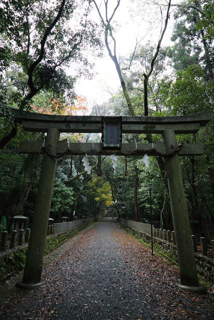 紅葉の叡山電鉄界隈 －蓮華寺（後編）－_b0169330_17215846.jpg