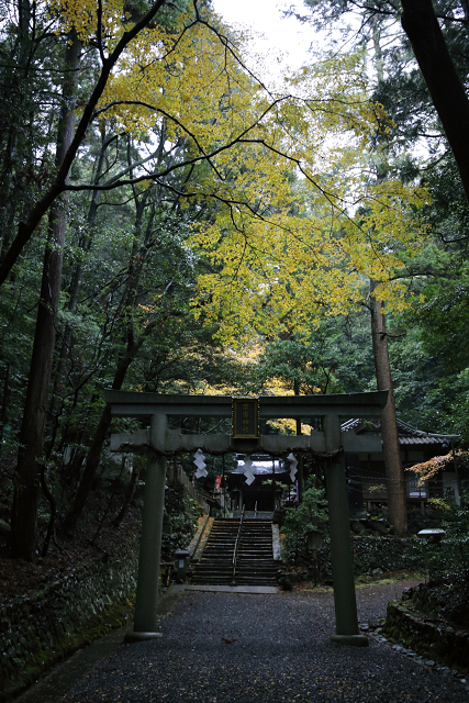 紅葉の叡山電鉄界隈 －蓮華寺（後編）－_b0169330_1722123.jpg