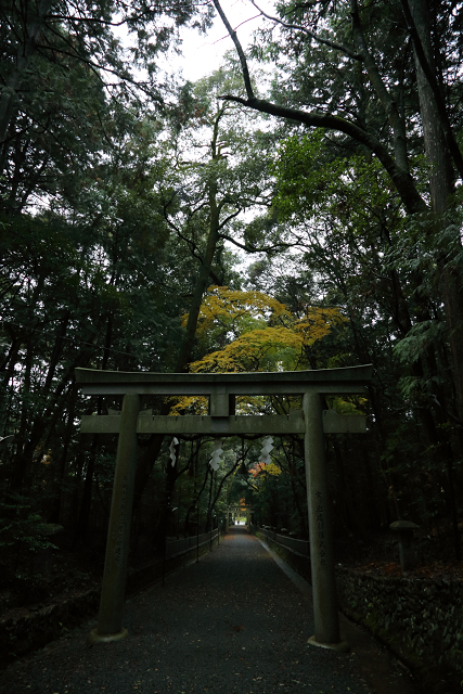 紅葉の叡山電鉄界隈 －蓮華寺（後編）－_b0169330_17221697.jpg