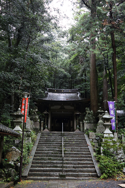 紅葉の叡山電鉄界隈 －蓮華寺（後編）－_b0169330_17223557.jpg