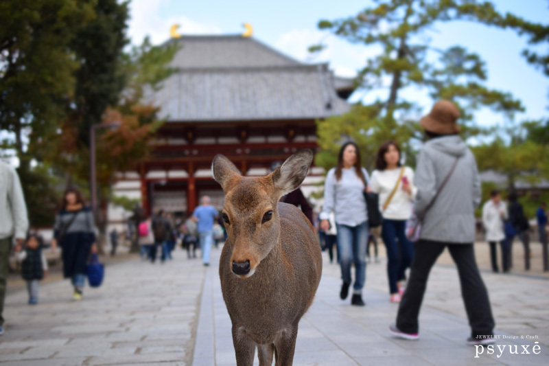 日帰り奈良旅行 後編_e0131432_13165129.jpg