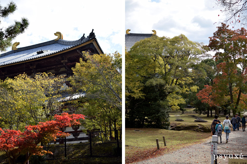 日帰り奈良旅行 後編_e0131432_13171725.jpg