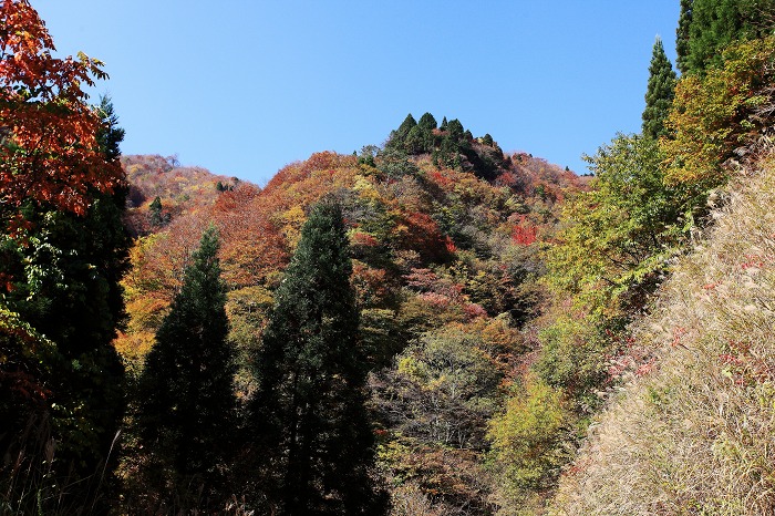 氷ノ山 その後_a0294534_2103675.jpg