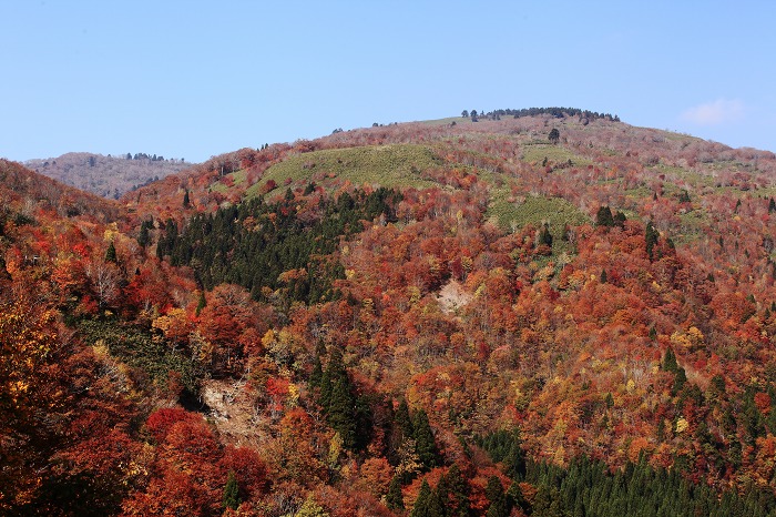 氷ノ山 その後_a0294534_2121182.jpg