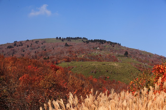 氷ノ山 その後_a0294534_2152513.jpg