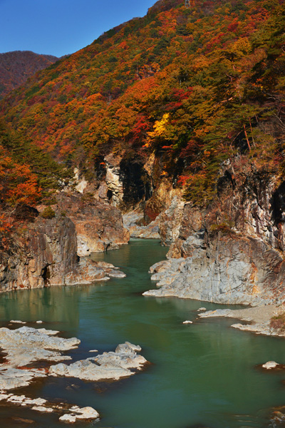 2015紅葉_b0175635_0281820.jpg