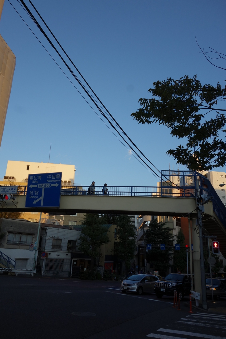 表参道近辺へ家具を見に その12~LOG ROAD DAIKANYAMA_a0287336_0472462.jpg