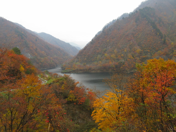 紅葉 加治川治水ダム _c0117936_21313176.jpg