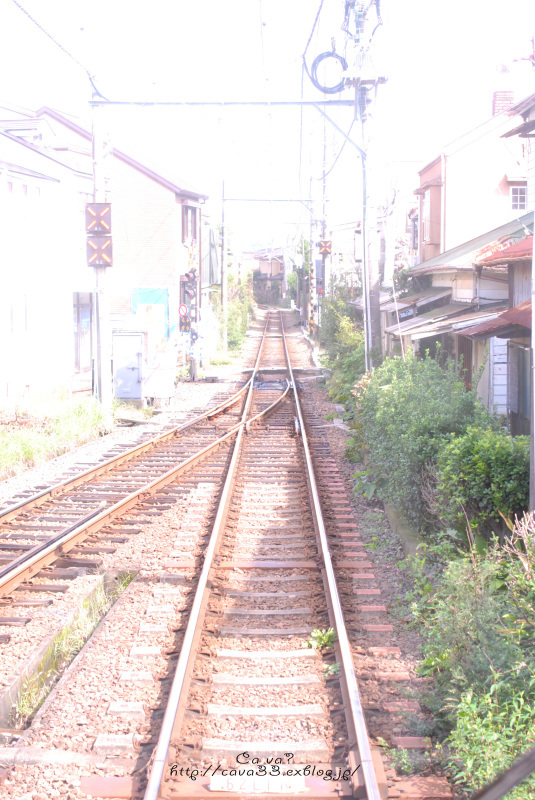 東京２日目　江ノ島　鎌倉遠足_b0329638_14254402.jpg