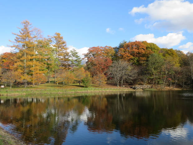 八ヶ岳方面へ１・紅葉を求めて_b0178339_01422466.jpg