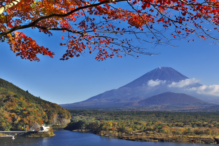 富士山周辺の紅葉_d0029744_12551476.jpg
