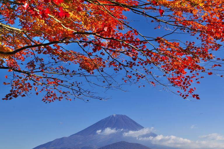 富士山周辺の紅葉_d0029744_12553775.jpg