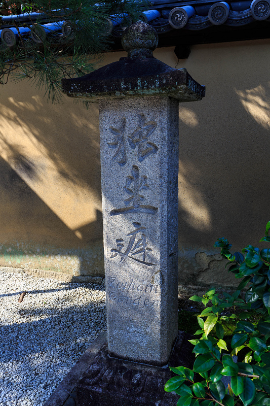 龍胆咲く（大徳寺塔頭・瑞峯院）_f0155048_18585191.jpg