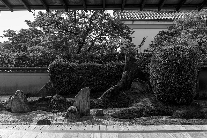 龍胆咲く（大徳寺塔頭・瑞峯院）_f0155048_1993728.jpg