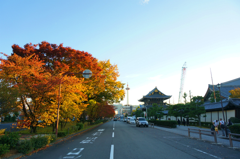 のんびり京都!_d0012449_1617270.jpg